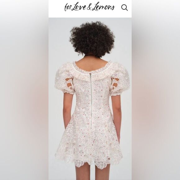 For Love & Lemons 🍋 Aphrodite Embroidered Mini Dress - Picture 5 of 10